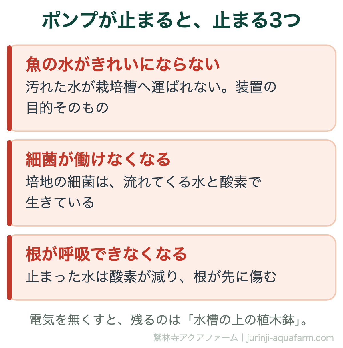 アクアポニックスのポンプが止まると止まる3つ。魚の水がきれいにならない、培地の細菌が働けなくなる、止まった水は酸素が減り根が呼吸できなくなる。電気を無くすと残るのは水槽の上の植木鉢