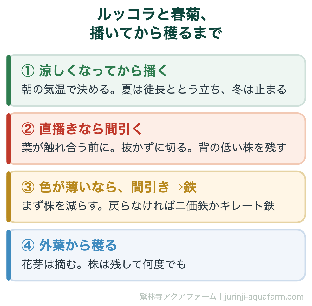アクアポニックスのルッコラと春菊を播いてから穫るまでの手順の図。涼しくなってから播く、直播きなら葉が触れ合う前に間引く、色が薄いならまず間引きで戻らなければ鉄、外葉から穫って花芽は摘む