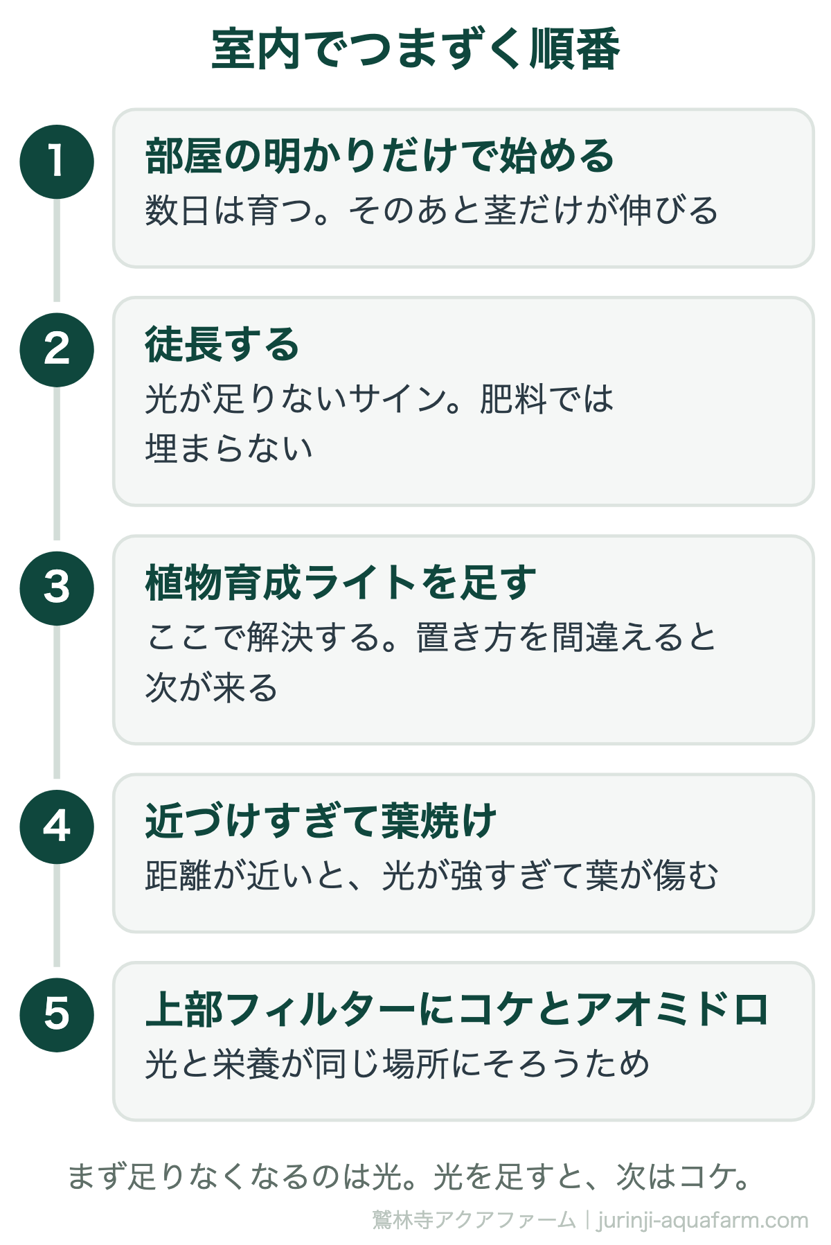 室内アクアポニックスでつまずく順番。部屋の明かりだけで始めると数日は育つがそのあと茎だけ伸びて徒長する。植物育成ライトを足すと解決するが近づけすぎると葉焼けする。そのあと上部フィルターにコケとアオミドロが出る