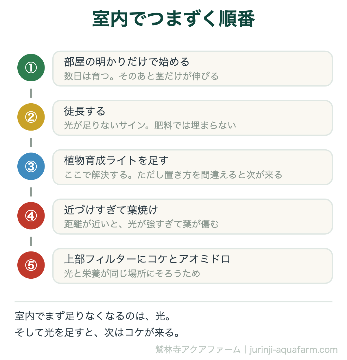 室内のアクアポニックスでつまずく順番の図。部屋の明かりだけで始めると徒長し、植物育成ライトを足すと解決するが、近づけすぎると葉焼けし、最後に上部フィルターにコケとアオミドロが出る
