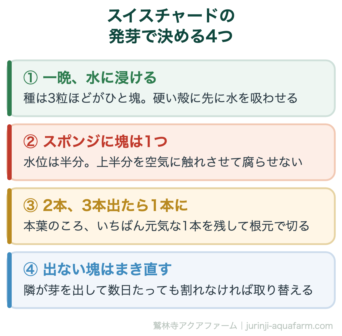 スイスチャードの発芽で決める4つの図。1種は3粒ほどがひと塊なので一晩水に浸ける。2スポンジに塊は1つで水位は半分。3芽が2本3本出たら本葉のころに1本を残して根元で切る。4隣が芽を出して数日たっても割れない塊はまき直す