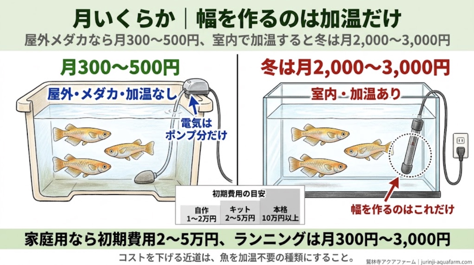 アクアポニックスの月々の費用の比較図。屋外・メダカ・加温なしなら月300〜500円で電気はポンプ分だけ。室内・加温ありなら冬は月2,000〜3,000円で、幅を作るのはヒーターだけ。初期費用の目安は自作1〜2万円、キット2〜5万円、本格10万円以上