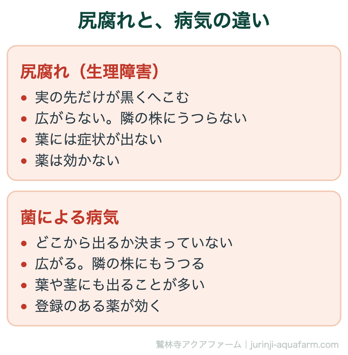 トマトの尻腐れと菌による病気の違い。尻腐れは実の先だけ、うつらない、葉に出ない、薬が効かない