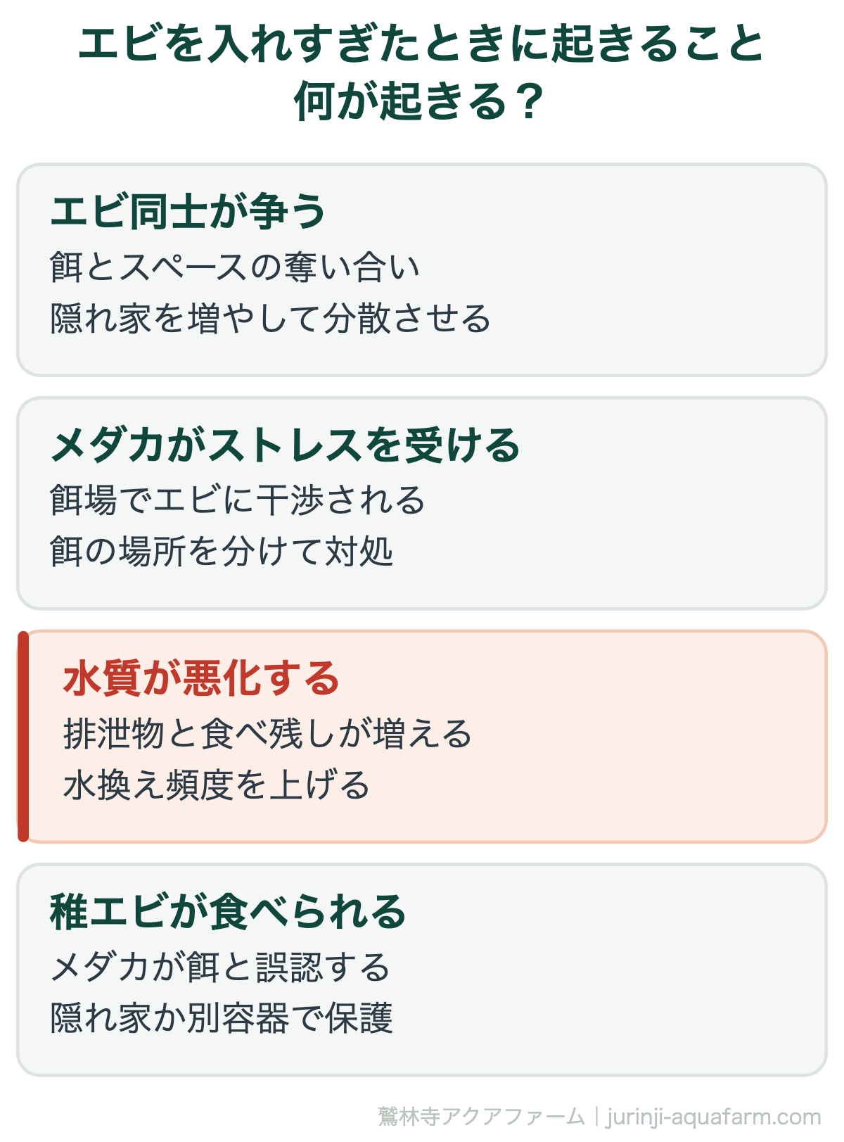 エビを入れすぎたときに起きること。メダカとエビの最適な比率