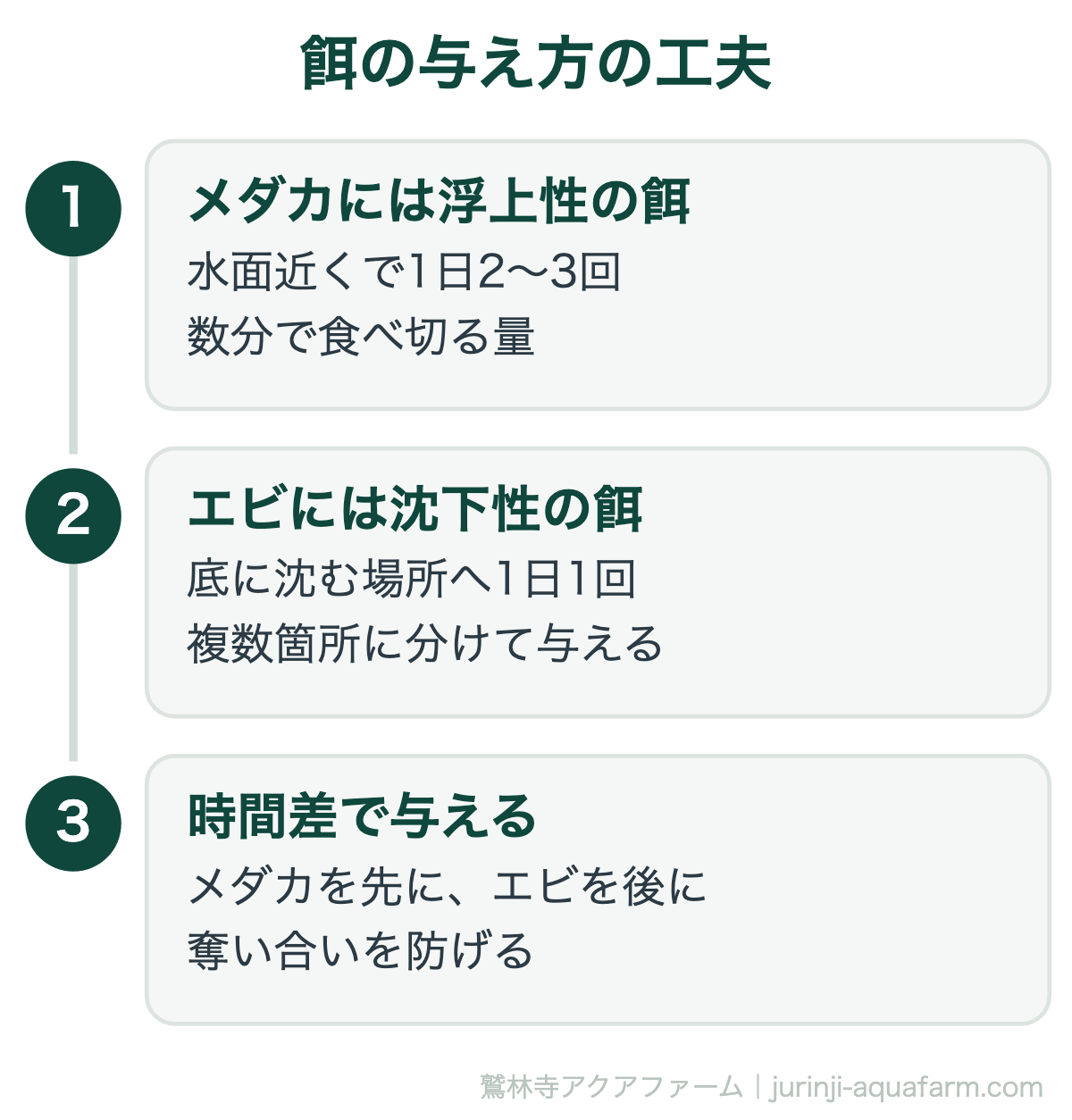 餌の与え方の工夫。メダカとエビの最適な比率