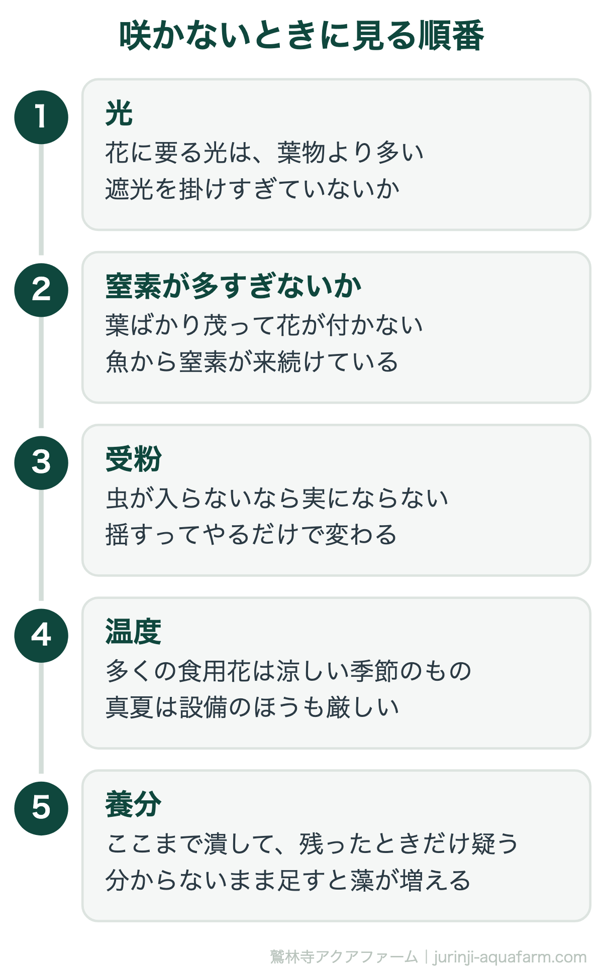 アクアポニックスで花が咲かないときに見る順番。光・窒素が多すぎないか・受粉・温度・最後に養分の5段階
