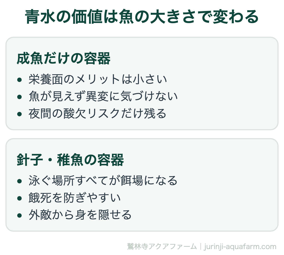 メダカにグリーンウォーターは必要｜青水の価値は魚の大きさで変わる。同じ青水でも、価値は飼っている魚の大きさで決まります。成魚だけなら無理に緑にする必要はありません
