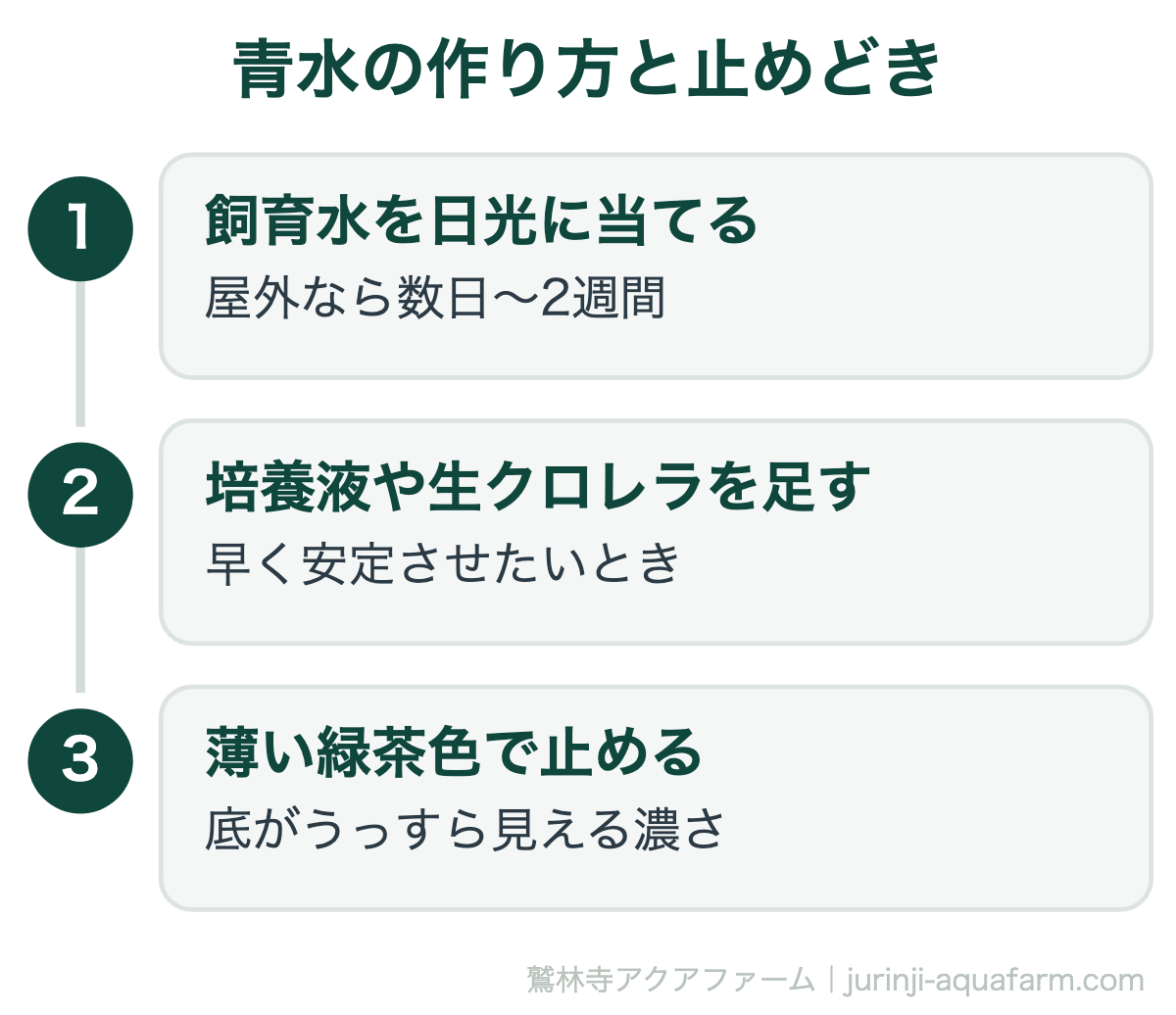 メダカにグリーンウォーターは必要｜青水の作り方と止めどき。濃くしすぎないことが最大のコツです。底が見えなくなったら薄めどきだと考えてください