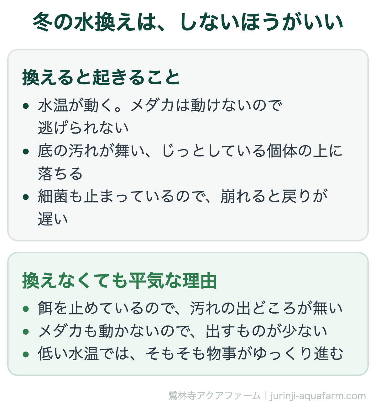 メダカの冬の水換え。換えると水温が動き底の汚れが舞う。換えなくても餌を止めていれば汚れない