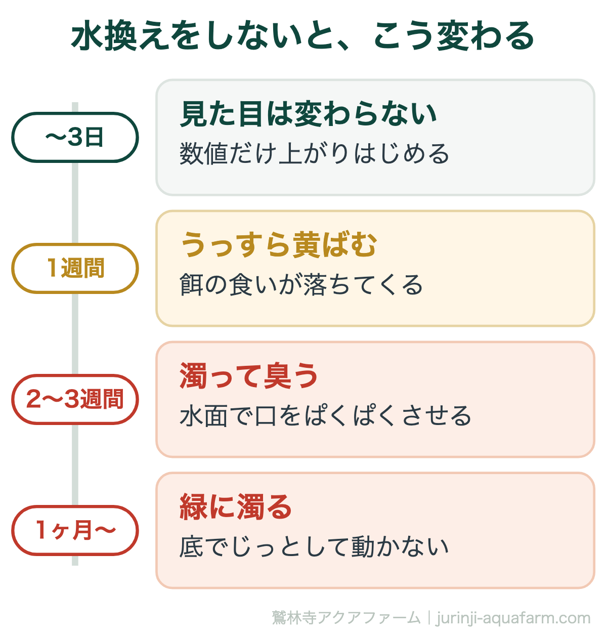 金魚の水換えをしないと起きる変化の時系列。3日までは見た目は変わらないが数値だけ上がりはじめる。1週間でうっすら黄ばみ餌の食いが落ちる。2〜3週間で濁って臭い水面で口をぱくぱくさせる。1ヶ月以上で緑に濁り底でじっとして動かない