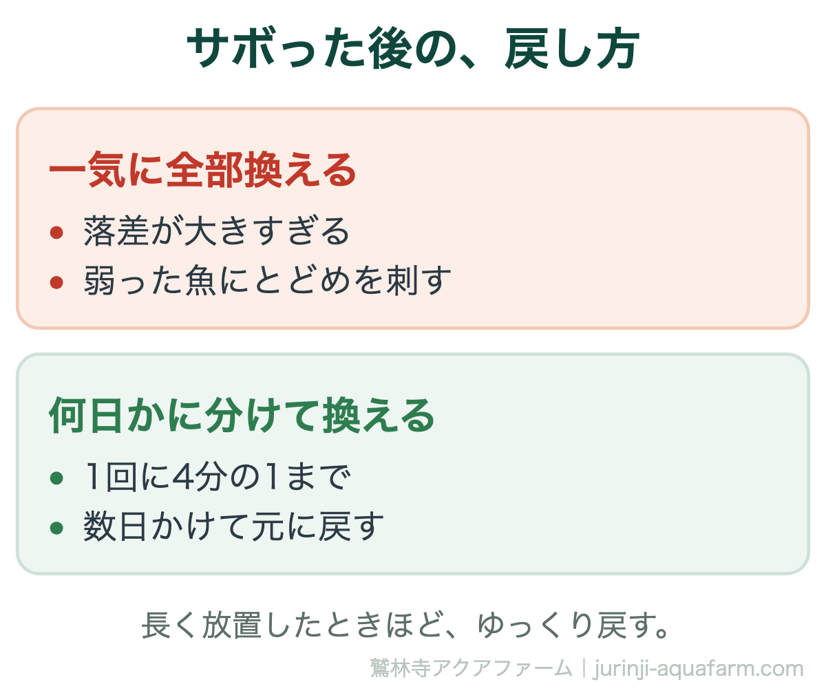 金魚の水換えをサボった後の戻し方の比較図。一気に全部換えると落差が大きすぎて弱った魚にとどめを刺す。何日かに分けて1回に4分の1までにして数日かけて元に戻す