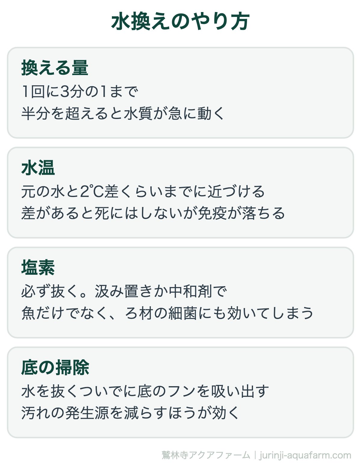 金魚の水換えをしないとどうなる｜水換えのやり方。ろ材は同時に洗わない。洗うなら別の日に、飼育水で軽くすすぐ程度