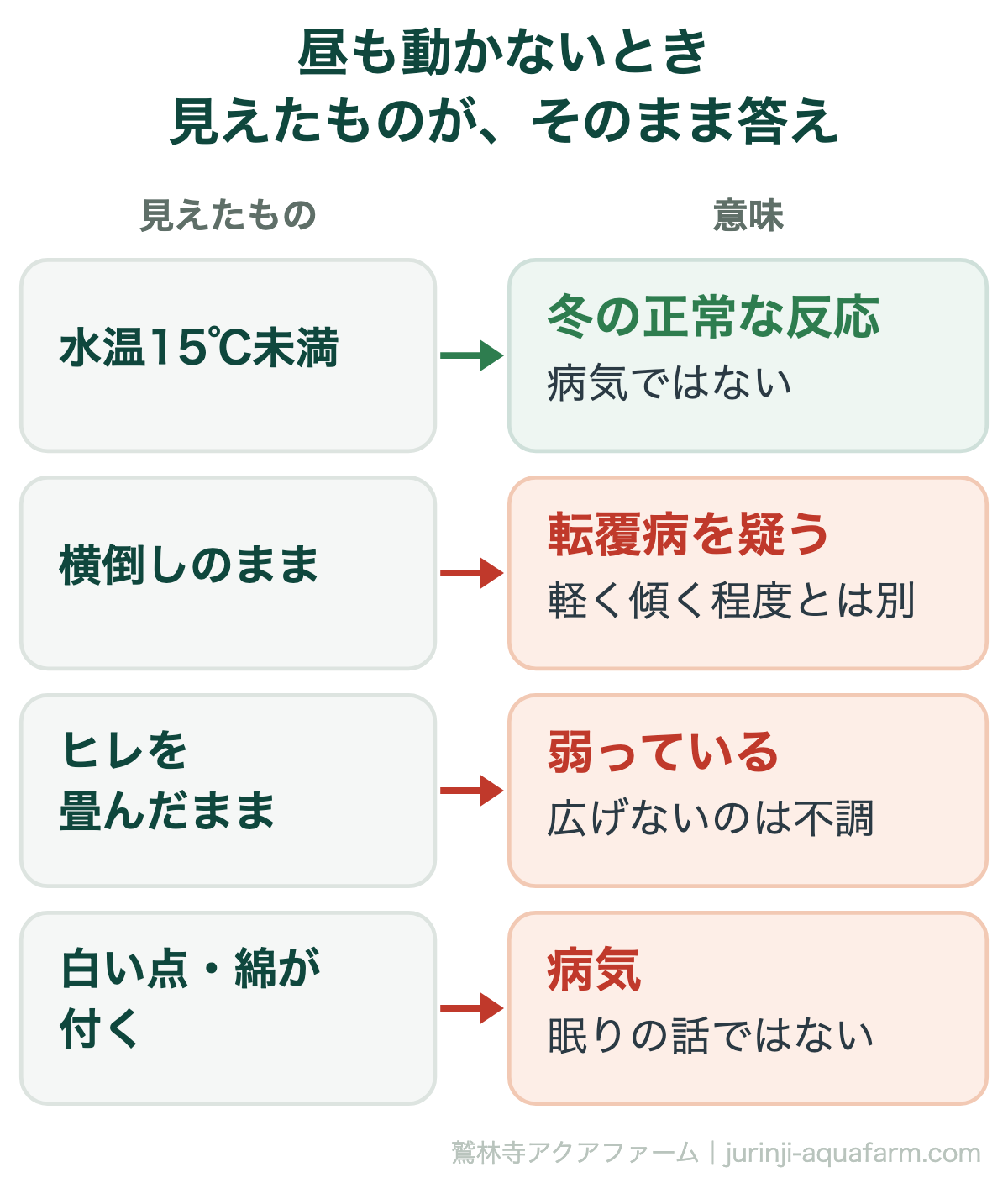 金魚が昼間も動かないときに見えたものと意味の対応図。水温が15℃を下回るなら冬の正常な反応で病気ではない。横倒しや腹を上のままなら転覆病を疑う。ヒレを畳んだままなら弱っている。白い点や綿やうろこの逆立ちがあれば病気で眠りの話ではない