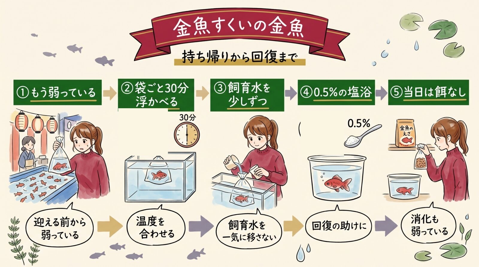 金魚すくいの金魚のグラレコ。迎える前から弱っている。袋ごと30分浮かべて温度を合わせ、飼育水を少しずつ足す。0.5%の塩浴が回復の助け。当日は餌なし