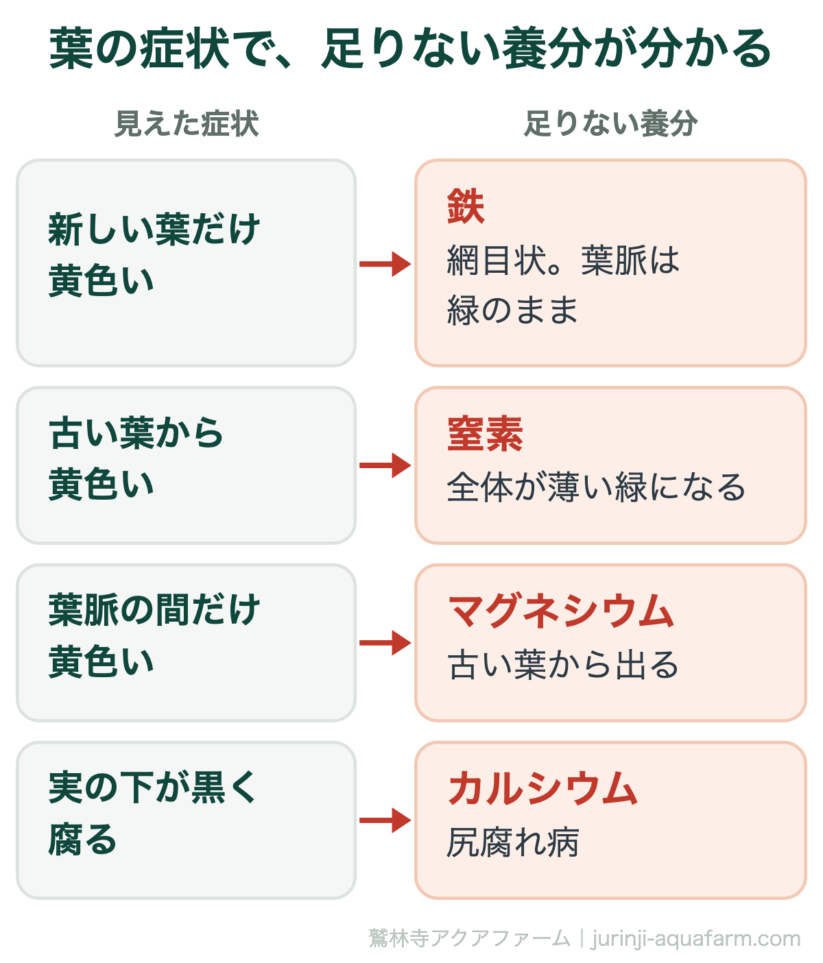 アクアポニックスで葉の症状から足りない養分を見分ける対応図。新しい葉が網目状に黄色く葉脈が緑のままなら鉄。古い葉から全体が黄色く薄い緑なら窒素。古い葉の葉脈の間だけ黄色いならマグネシウム。実の下が黒く腐る尻腐れ病ならカルシウム
