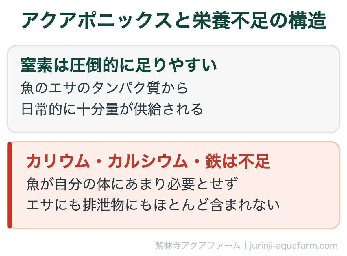 リービッヒの最小律とは｜アクアポニックスと栄養不足の構造。この3つはアクアポニックスの研究で繰り返し報告される『御三家』の欠乏元素です。リンは中間で、システムによって変動します