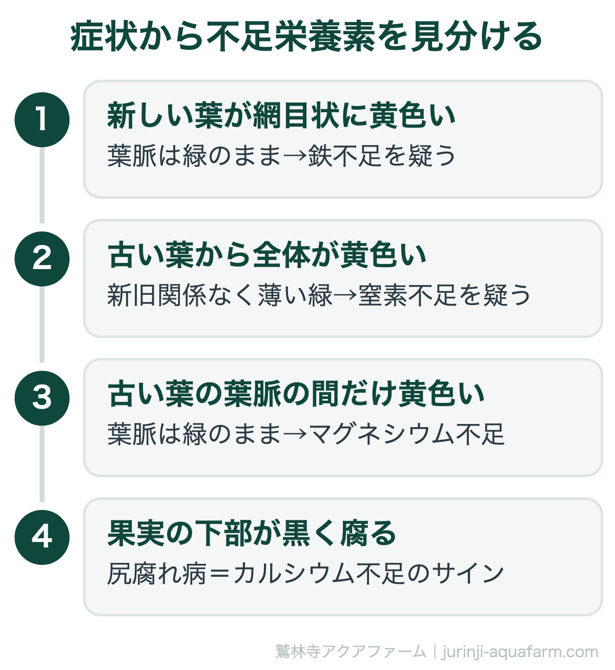 リービッヒの最小律とは｜症状から不足栄養素を見分ける。同じ「葉が黄色い」でも、出る場所と色の出方で疑う栄養素が変わります。まず観察、それから対処が近道です