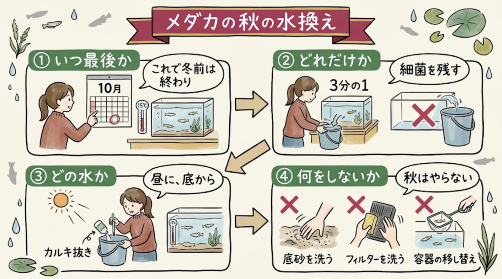 メダカの秋の水換えのグラレコ。いつ最後か(10月末で冬前は終わり)、どれだけか(3分の1、細菌を残す)、どの水か(カルキ抜き、昼に底から)、何をしないか(底砂を洗う・フィルターを洗う・容器の移し替え)