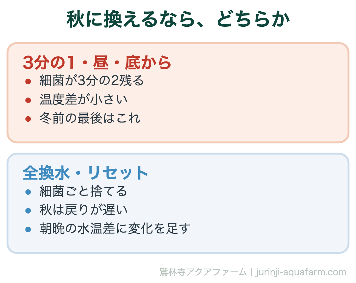 秋の水換えの比較図。3分の1を昼に底から抜くなら細菌が3分の2残り温度差が小さく冬前の最後に向く。全換水やリセットは細菌ごと捨て、秋は戻りが遅く、朝晩の水温差に変化を足す