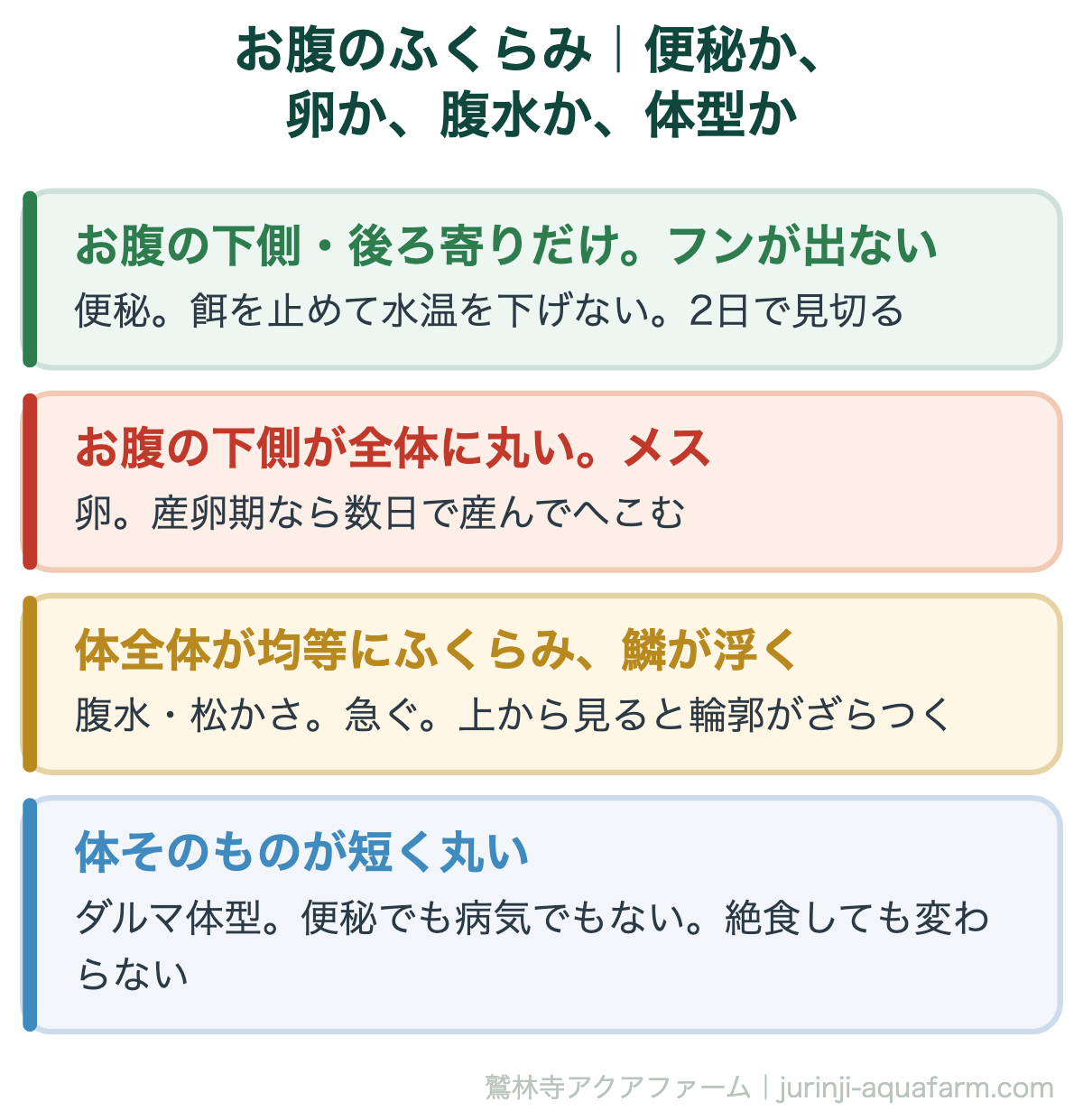 メダカのお腹のふくらみを便秘か卵か腹水か体型かで見分ける図。お腹の下側の後ろ寄りだけでフンが出ないなら便秘で餌を止め水温を下げず2日で見切る。お腹の下側が全体に丸いメスなら卵で産卵期なら数日でへこむ。体全体が均等にふくらみ鱗が浮くなら腹水や松かさで急ぐ。体そのものが短く丸いならダルマ体型
