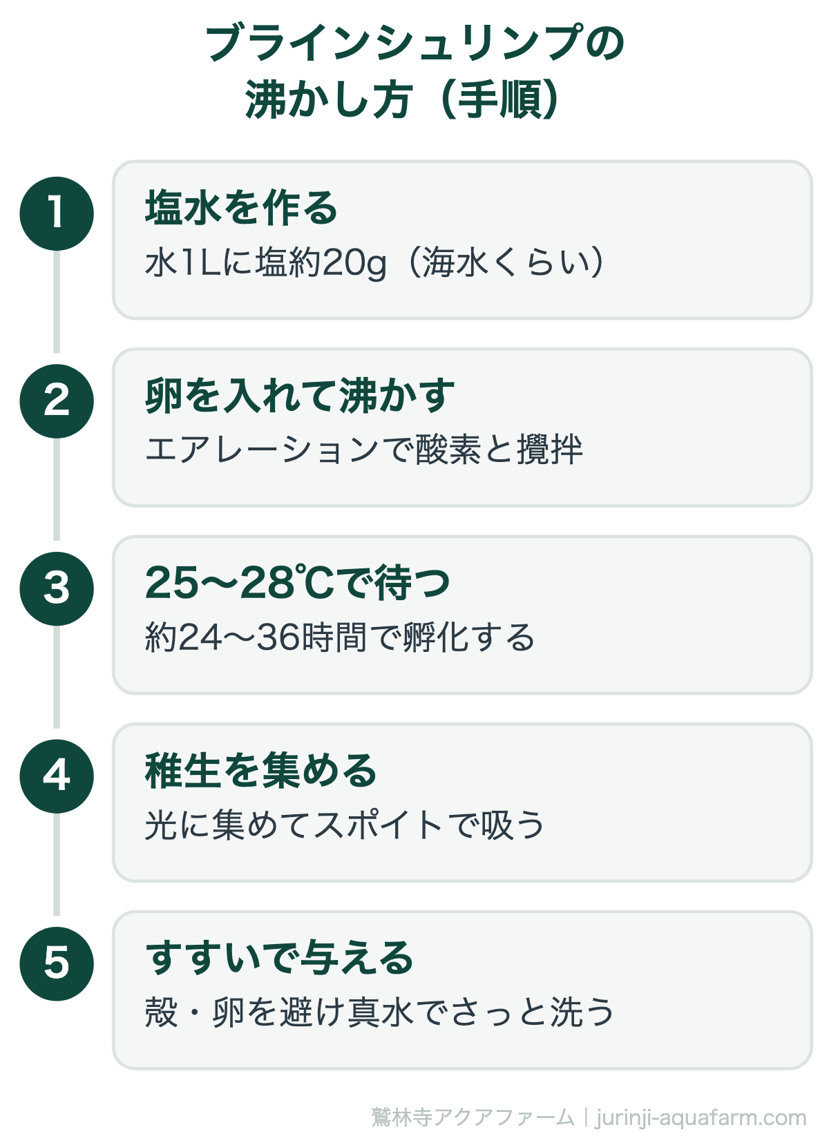 メダカにブラインシュリンプは必要|ブラインシュリンプの沸かし方(手順)。孵化器は2台体制が便利。1日交代で沸かせば、いつでも新鮮なブラインを切らさず与えられます