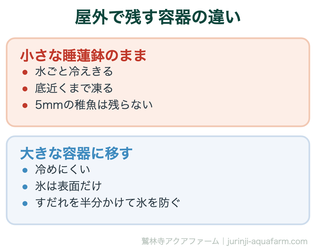 屋外で稚魚を残す容器の比較図。小さな睡蓮鉢のままだと水ごと冷えきって底近くまで凍り5mmの稚魚は残らない。大きな容器に移せば冷めにくく氷は表面だけで、すだれを半分かけると氷が張りにくい
