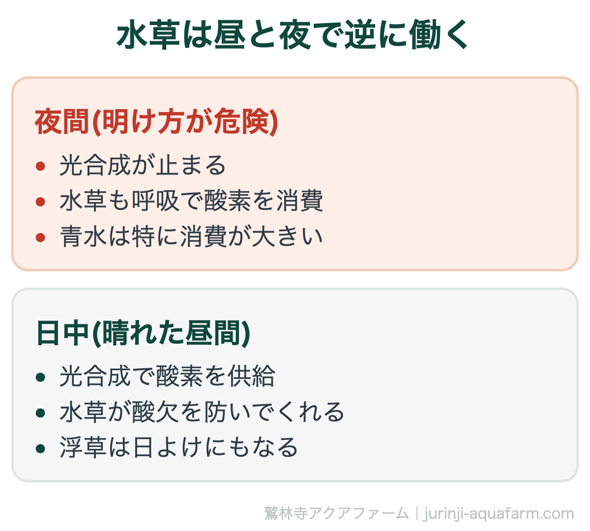 メダカにエアレーションはいらない｜水草は昼と夜で逆に働く。「水草を入れたから安心」とは言い切れません。水草が多いほど、夜間の消費も大きくなります