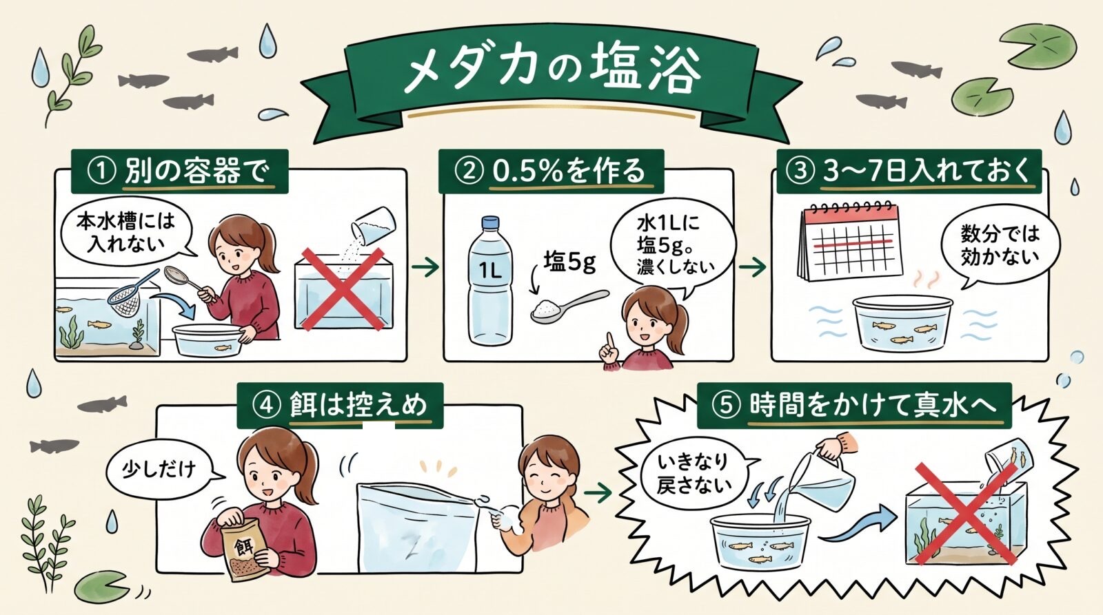 メダカの塩浴のグラレコ。本水槽には入れず別の容器で。水1Lに塩5gの0.5%。3〜7日入れておく。餌は控えめ。戻すときは真水を少しずつ足して時間をかける