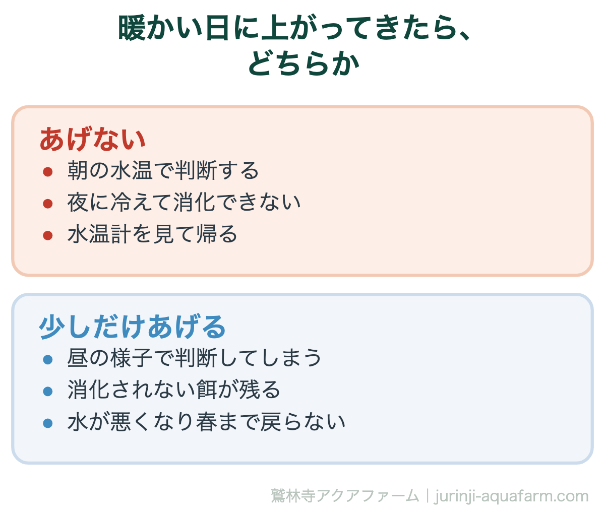 冬の暖かい日にメダカが水面に上がってきたときの比較図。あげないなら朝の水温で判断し、夜に冷えても困らない。少しだけあげると昼の様子で判断してしまい、消化されない餌が残って水が悪くなり春まで戻らない