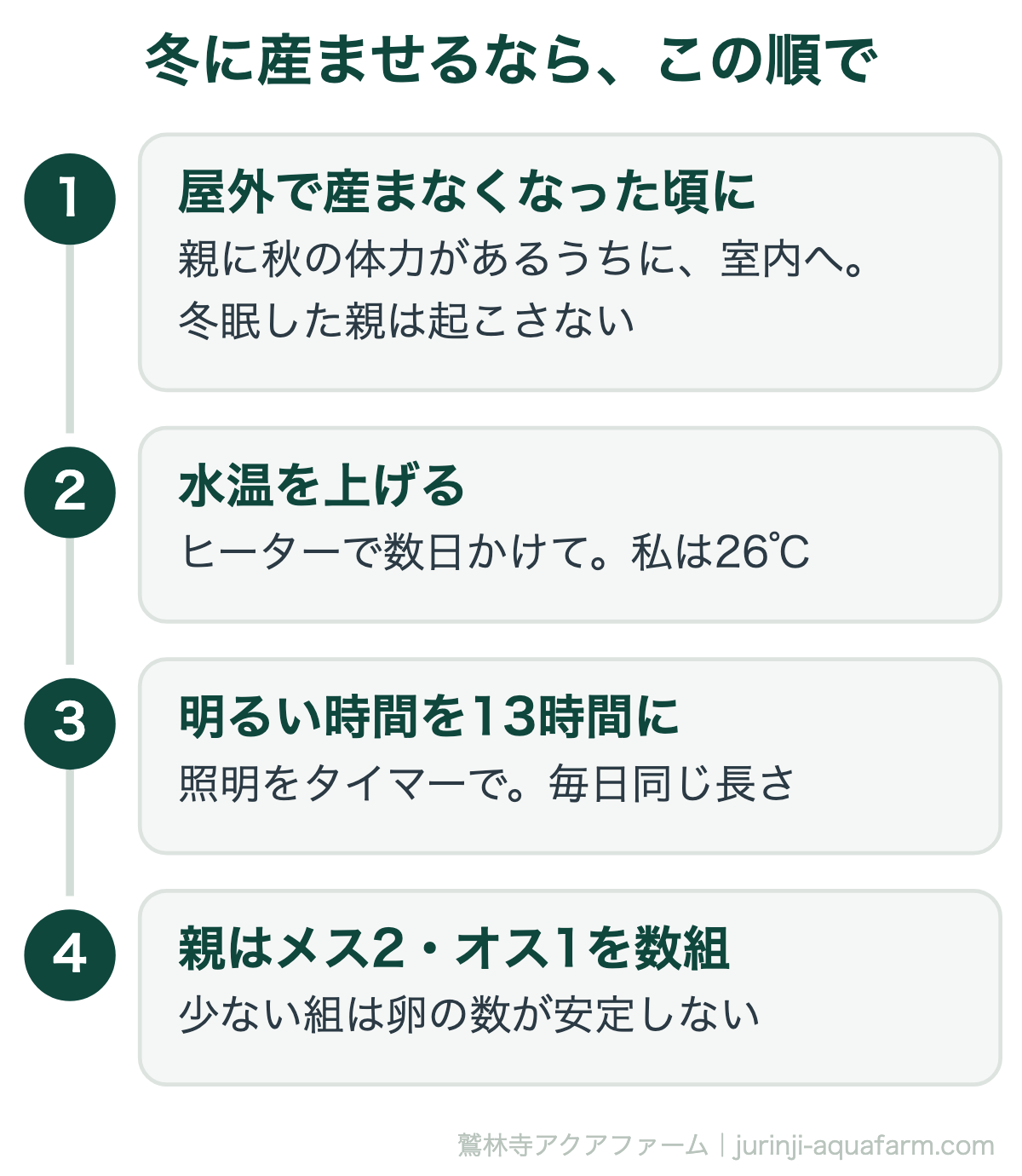 メダカを冬に産ませる順番の図。1屋外で産まなくなった頃に親を室内へ、冬眠した親は起こさない。2ヒーターで数日かけて水温を上げる、私は26℃。3照明で明るい時間を毎日13時間に。4親はメス2オス1を1組にして数組