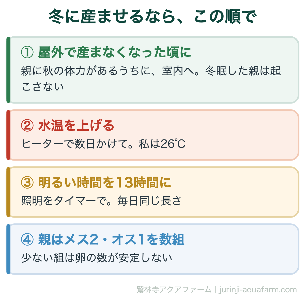 メダカを冬に産ませる順番の図。1屋外で産まなくなった頃に親を室内へ、冬眠した親は起こさない。2ヒーターで数日かけて水温を上げる、私は26℃。3照明で明るい時間を毎日13時間に。4親はメス2オス1を1組にして数組