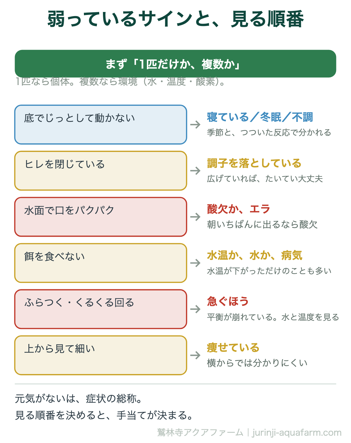 メダカが弱っているサイン6つの図。まず1匹だけか複数かを見て、底でじっとする・ヒレを閉じる・水面で口をパクパク・餌を食べない・ふらつく・上から見て細い、で分ける