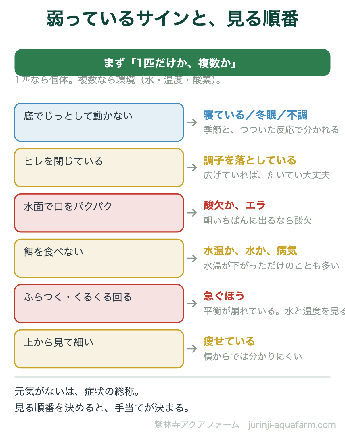 メダカが弱っているサイン6つの図。まず1匹だけか複数かを見て、底でじっとする・ヒレを閉じる・水面で口をパクパク・餌を食べない・ふらつく・上から見て細い、で分ける
