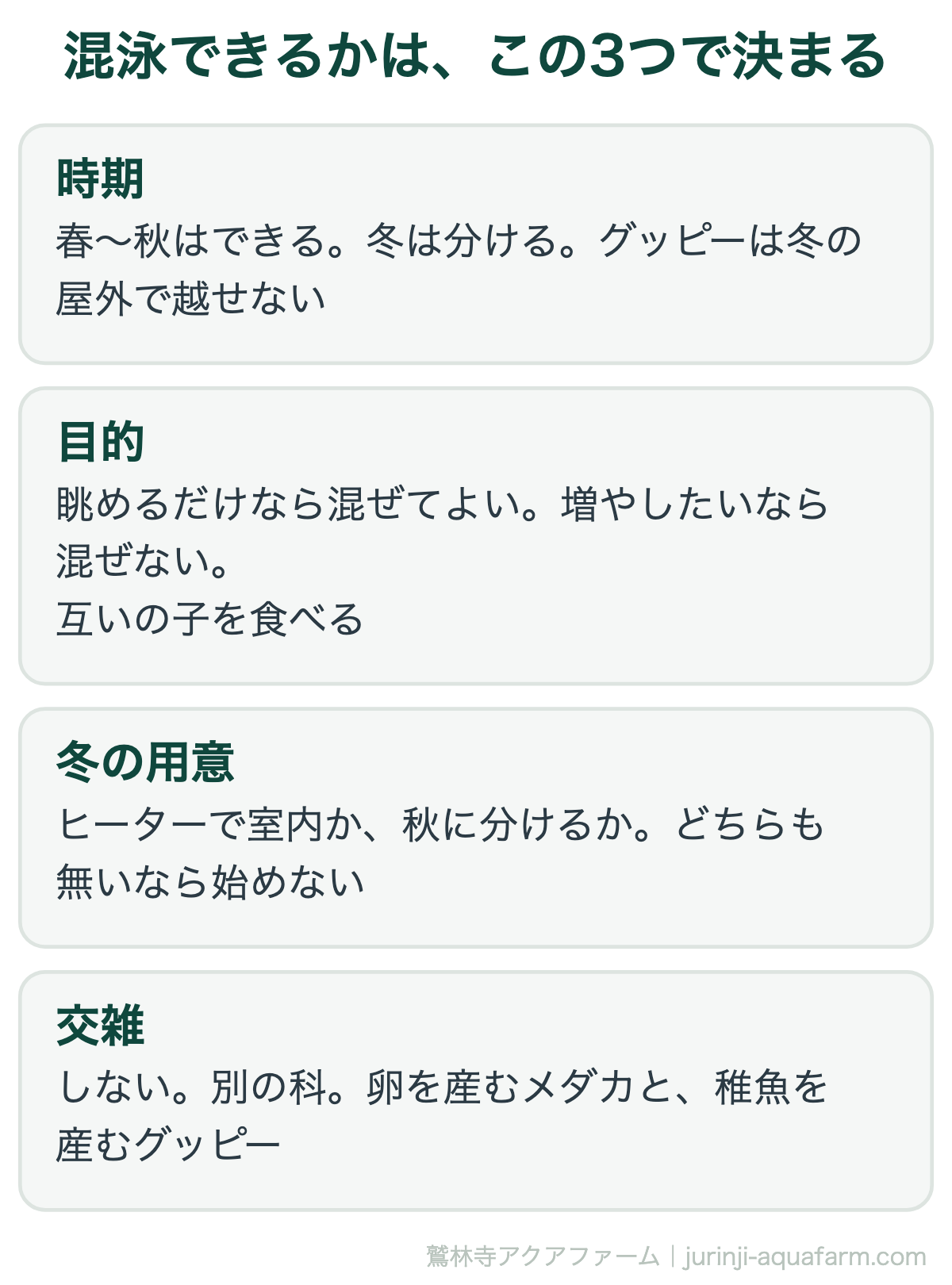 メダカとグッピーの混泳を決める3つの図。時期は春から秋ならできて冬は分ける。目的は眺めるだけなら混ぜてよく増やしたいなら混ぜない。冬の用意はヒーターか秋に分けるか。交雑はしない