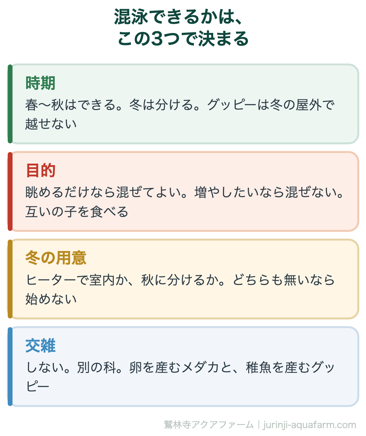 メダカとグッピーの混泳を決める3つの図。時期は春から秋ならできて冬は分ける。目的は眺めるだけなら混ぜてよく増やしたいなら混ぜない。冬の用意はヒーターか秋に分けるか。交雑はしない