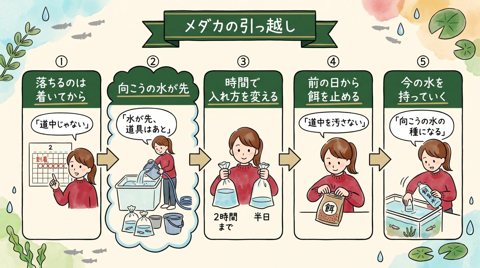 メダカの引っ越しをまとめた図。落ちるのは着いてから、向こうの水が先、時間で入れ方を変える、前の日から餌を止める、今の水を持っていくの5つ