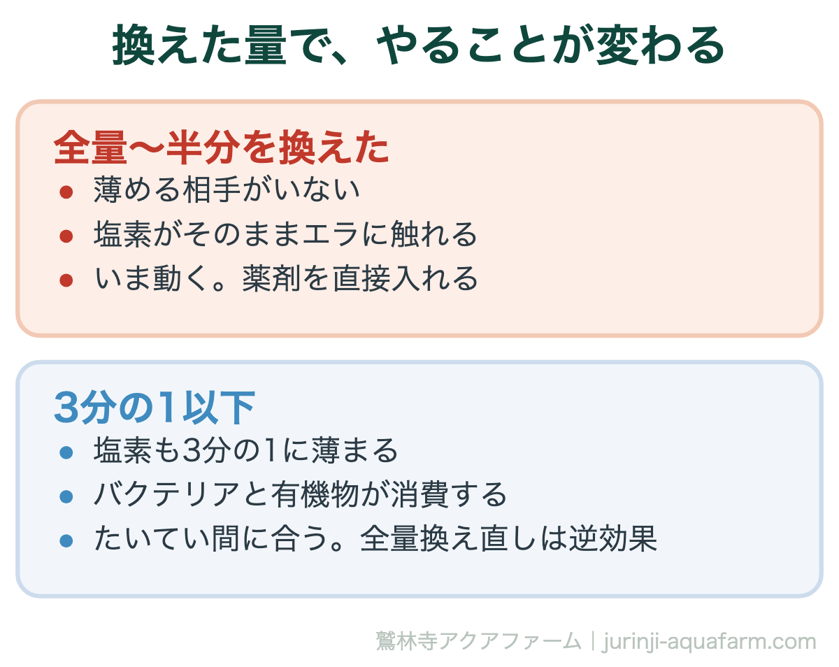 メダカのカルキ抜きを忘れたときの図。全量から半分を換えたなら薄める相手がなく塩素がそのままエラに触れるので今すぐ薬剤を直接入れる。3分の1以下なら塩素も3分の1に薄まり、たいてい間に合う。全量換え直しは逆効果