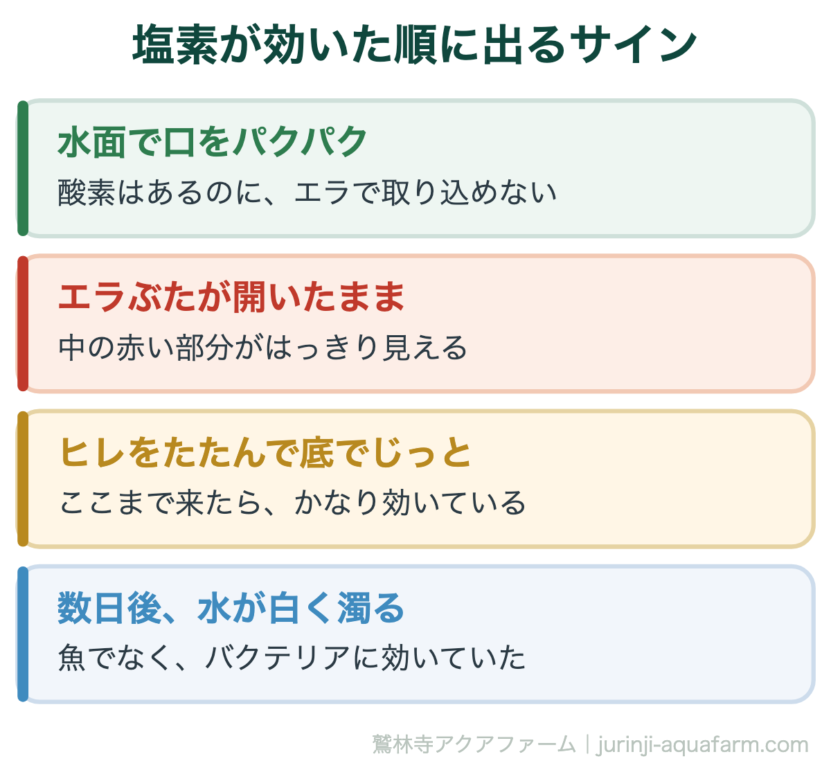 カルキが効いたときにメダカに出るサインの図。水面で口をパクパク、エラぶたが開いたまま赤い部分が見える、ヒレをたたんで底でじっとする、数日後に水が白く濁る、の順
