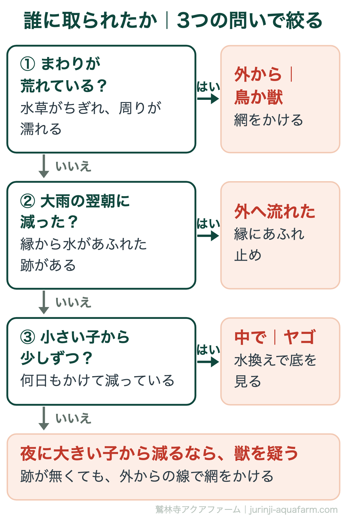 メダカが消えたときに犯人を絞る判定の図。問い1容器のまわりが荒れているなら外から鳥か獣で網をかける。問い2大雨の翌朝に減ったなら容器の外へ流れたので縁にあふれ止め。問い3小さい子から何日もかけて少しずつならヤゴで水換えで底をすくう。どれでもなく夜に大きい子から減るなら獣を疑う