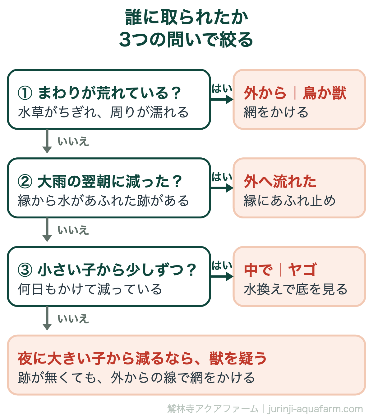 メダカが消えたときに犯人を絞る判定の図。問い1容器のまわりが荒れているなら外から鳥か獣で網をかける。問い2大雨の翌朝に減ったなら容器の外へ流れたので縁にあふれ止め。問い3小さい子から何日もかけて少しずつならヤゴで水換えで底をすくう。どれでもなく夜に大きい子から減るなら獣を疑う