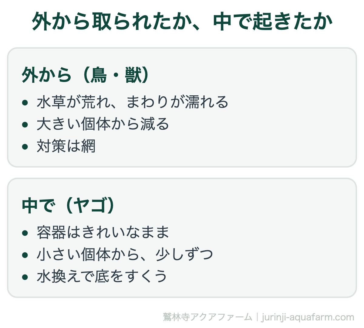 メダカが減ったとき、外から取られたか中で起きたかの比較図。外から取るのは鳥や獣で、水草が荒れてまわりが濡れ、大きい個体から減り、対策は網。中で起きるのはヤゴで、容器はきれいなまま小さい個体から少しずつ減り、水換えで底をすくって探す