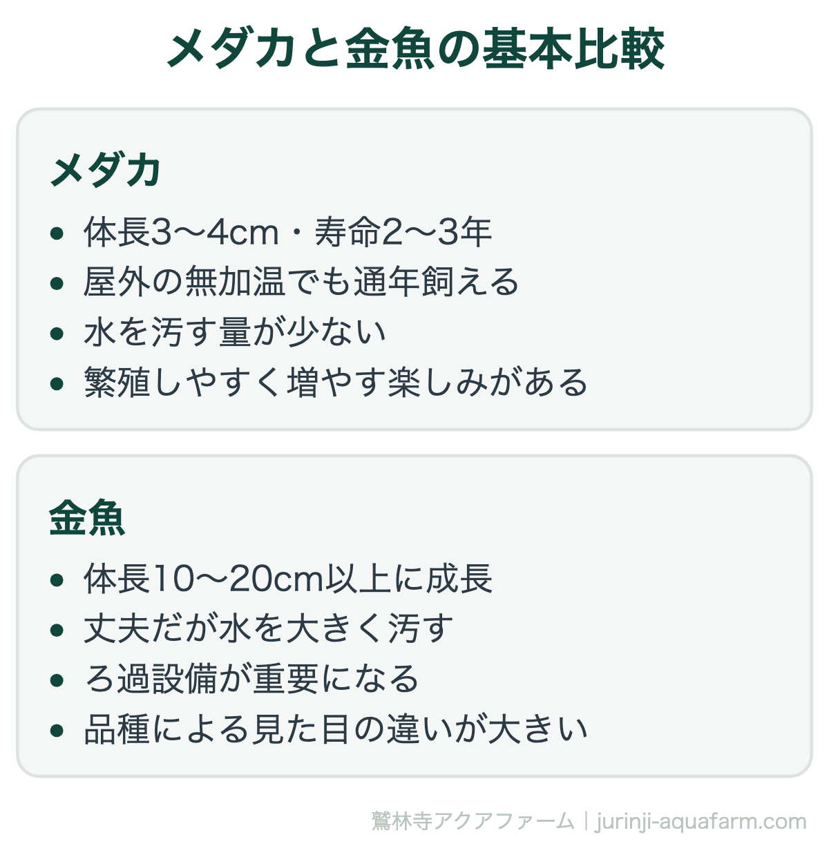 メダカと金魚の基本比較。体の大きさがそのまま「水をどれだけ汚すか」に直結します。この差が、必要な設備の違いを生みます