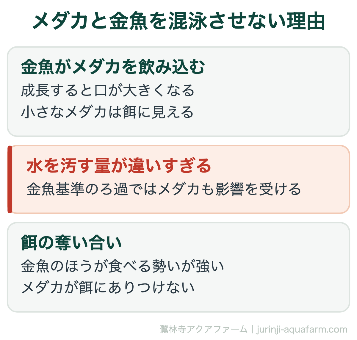 メダカと金魚を混泳させない理由。どちらも丈夫な魚ですが、体格差がそのままリスクになります。同じ「日本の淡水魚」でも一緒には飼えません