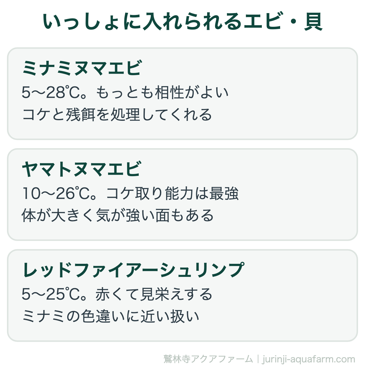 メダカと混泳できる魚・エビ7種｜いっしょに入れられるエビ・貝。掃除役としてはエビが優秀です。ただしメダカの卵や針子は食べられることがあるため、繁殖させたい容器では分けます