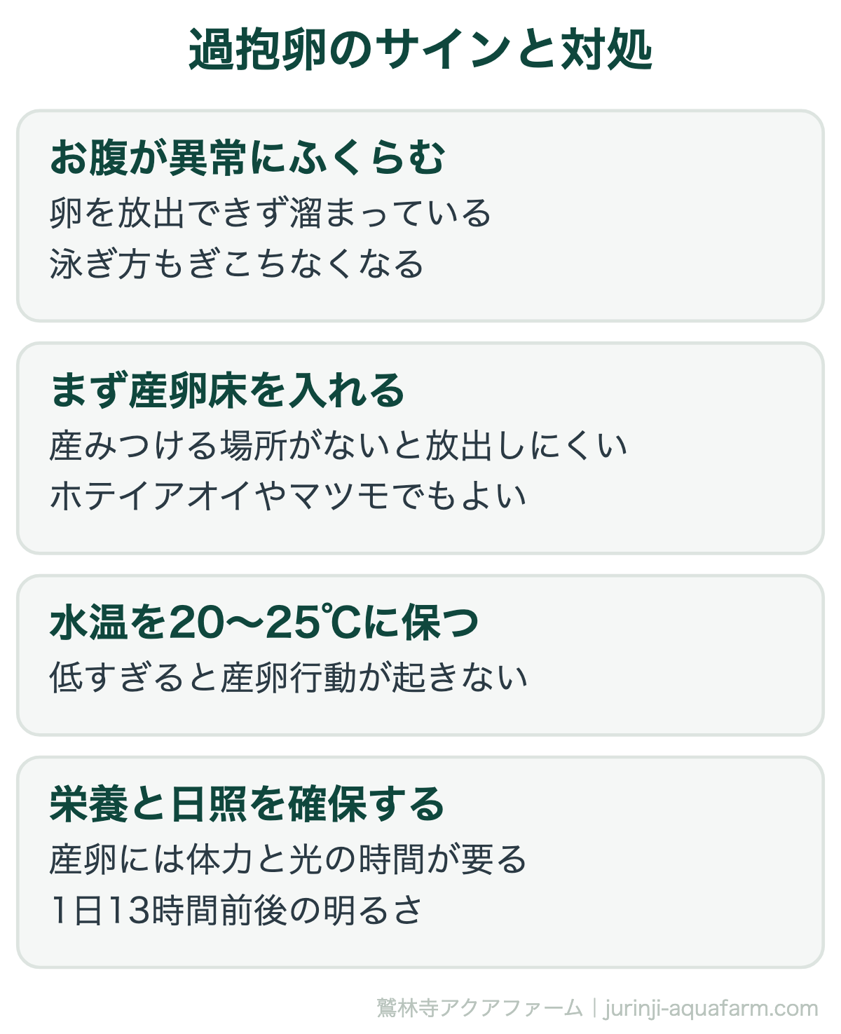 メダカの過抱卵のサインと対処。お腹が不自然に膨れ泳ぎ方がぎこちなくなる。原因の多くは産みつける場所がないことで、まず産卵床を入れる。次に水温20〜25℃、そして体力