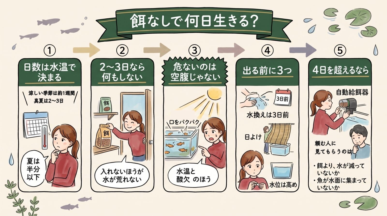 メダカは餌なしで何日生きるかのグラレコ。涼しい季節は約1週間、真夏は2〜3日で夏は半分以下。2〜3日なら何もしない。危ないのは空腹ではなく水温と酸欠。出る前に水換えは3日前・日よけ・水位は高め。4日を超えるなら自動給餌器で、頼む人に見てもらうのは水が減っていないかと魚が水面に集まっていないか