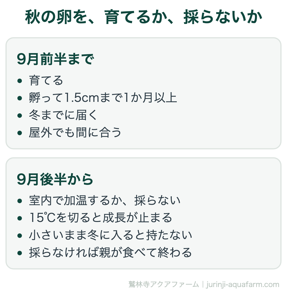 秋のメダカの卵を育てるか採らないかの比較図。9月前半までは育てる。孵って1.5cmまで1か月以上で冬までに届き、屋外でも間に合う。9月後半からは室内で加温するか採らない。15℃を切ると成長が止まり、小さいまま冬に入ると持たない