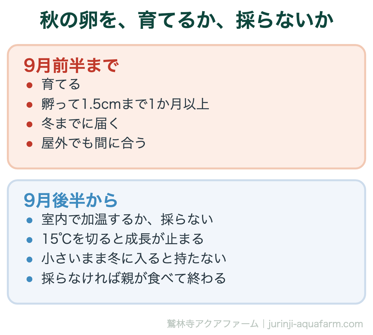 秋のメダカの卵を育てるか採らないかの比較図。9月前半までは育てる。孵って1.5cmまで1か月以上で冬までに届き、屋外でも間に合う。9月後半からは室内で加温するか採らない。15℃を切ると成長が止まり、小さいまま冬に入ると持たない