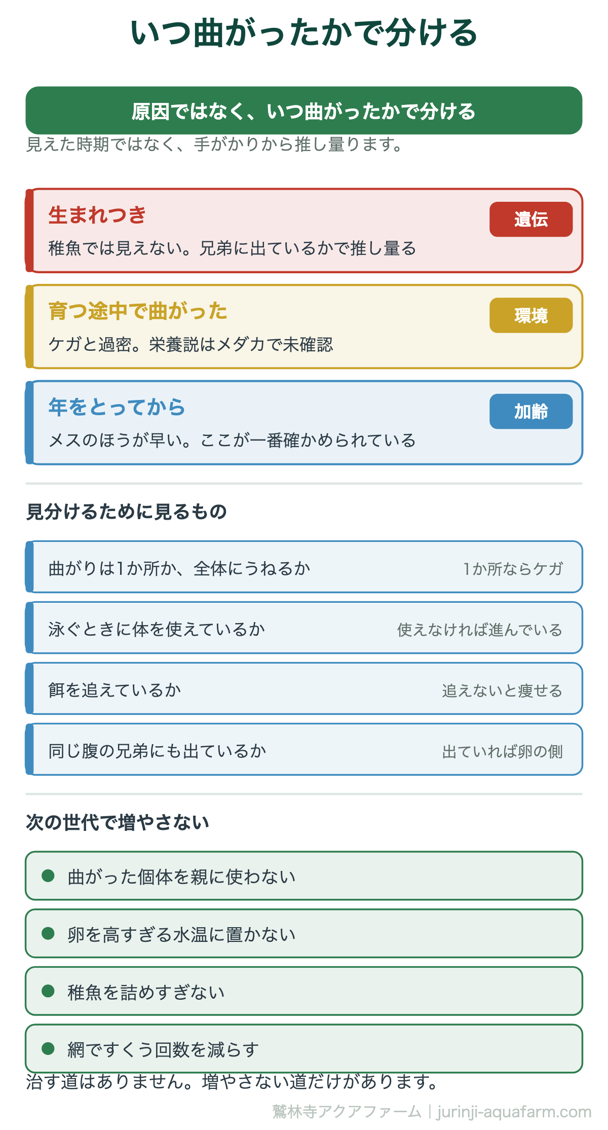 メダカの背曲がりの図。原因ではなく、いつ曲がったかで分ける。生まれつきなら遺伝の型があり稚魚では見えないので兄弟に出ているかで推し量る、育つ途中ならケガと過密、年をとってからなら加齢でメスのほうが早い。曲がりが1か所か全体か、泳ぐときに体を使えているか、餌を追えているか、同じ腹の兄弟にも出ているかを見る。次の世代で増やさない4つ