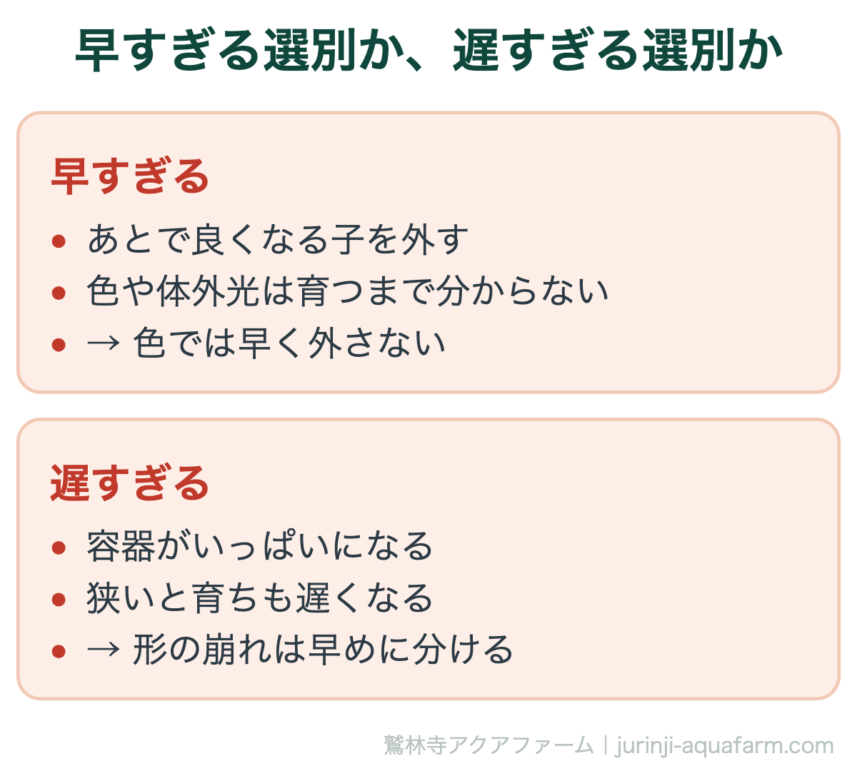 メダカの選別が早すぎる場合と遅すぎる場合の比較図。早すぎるとあとで良くなる子を外してしまい、色や体外光は育つまで分からないので色では早く外さない。遅すぎると容器がいっぱいになり狭いと育ちも遅くなるので、形の崩れは早めに分ける